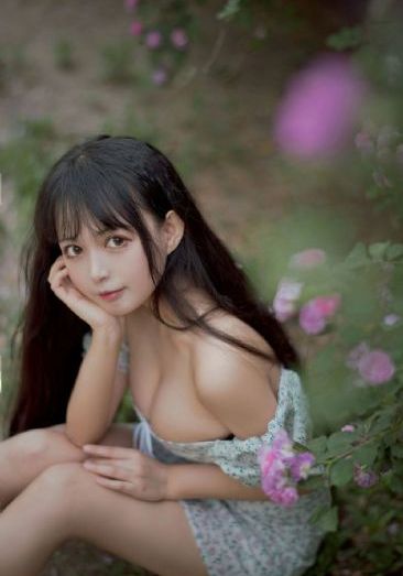 97精品在线观看_DVD在线观看电视