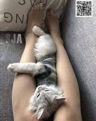 夏日密语_高清迅雷电影在线