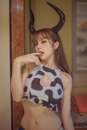 情满四合院多少集_DVD在线观看电视