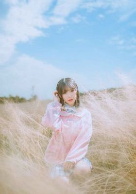 宝莲灯前传全集免费观看_DVD免费电视剧